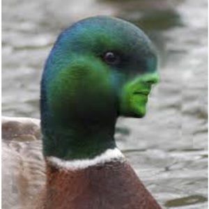 Meet your Posher, Jack